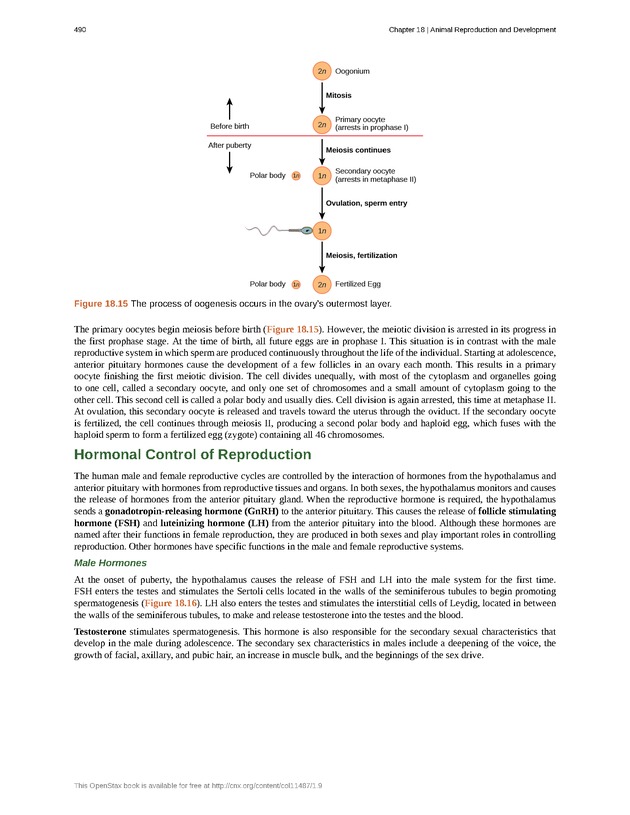 Concepts of Biology (non-majors) - Page 486