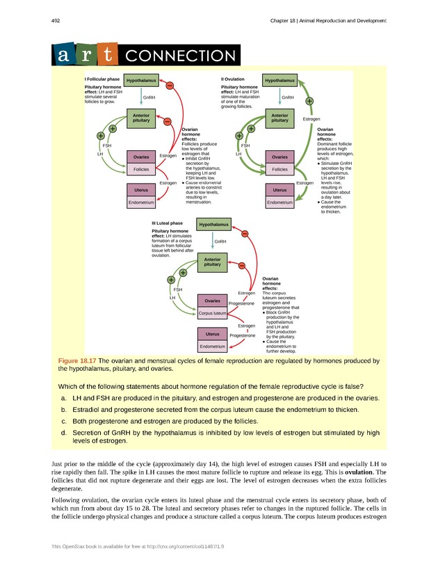 Concepts of Biology (non-majors) - Page 488