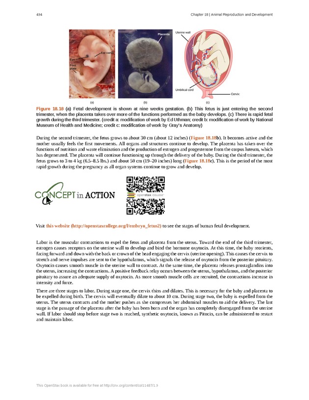 Concepts of Biology (non-majors) - Page 490