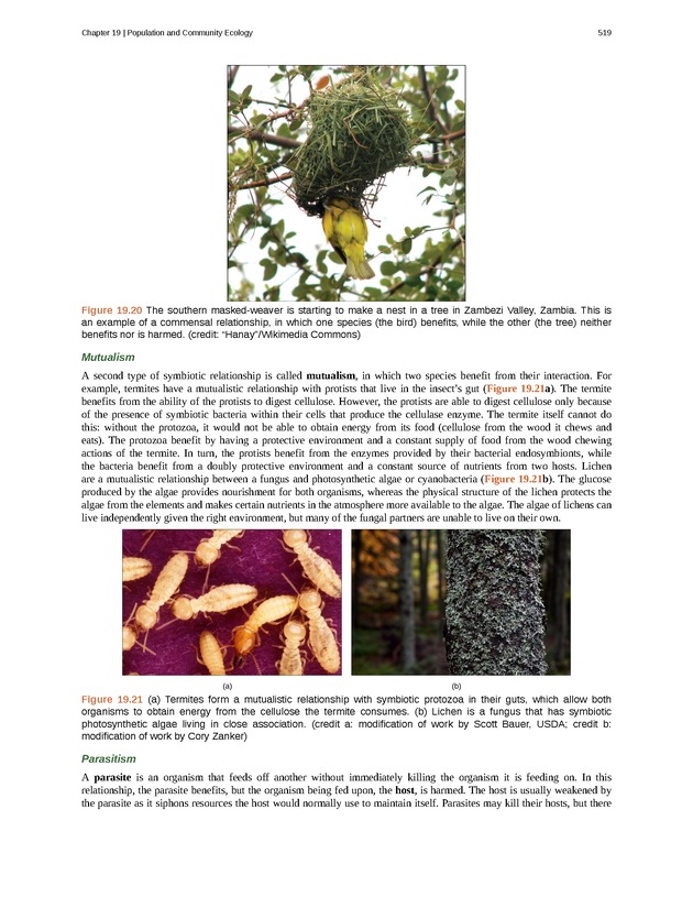 Concepts of Biology (non-majors) - Page 515