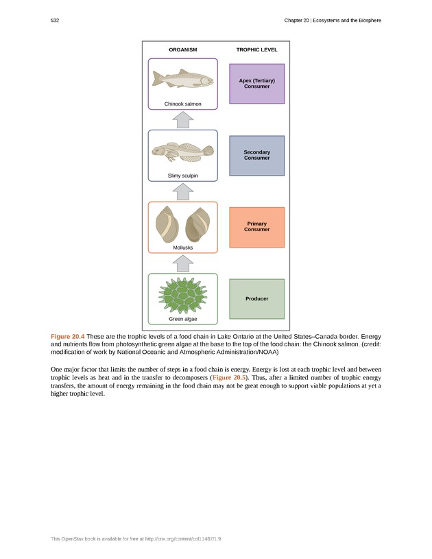 Concepts of Biology (non-majors) - Page 528