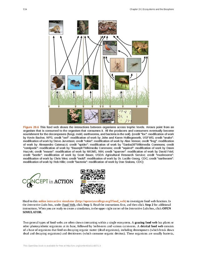 Concepts of Biology (non-majors) - Page 530