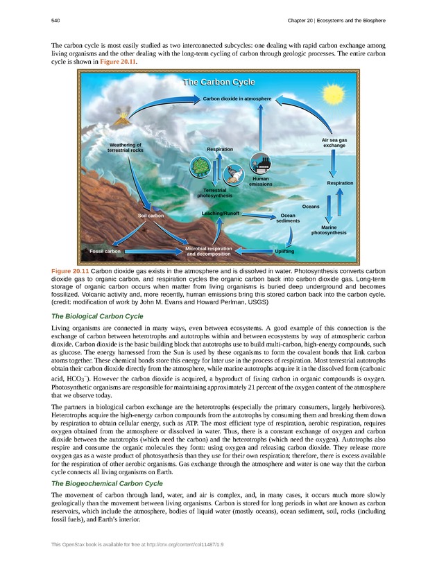 Concepts of Biology (non-majors) - Page 536