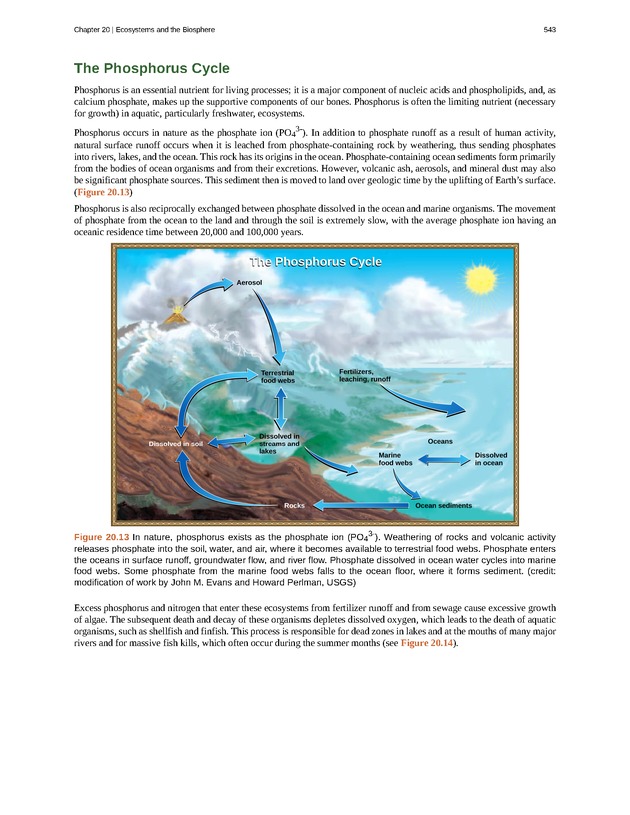 Concepts of Biology (non-majors) - Page 539
