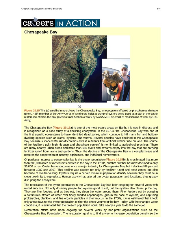 Concepts of Biology (non-majors) - Page 541