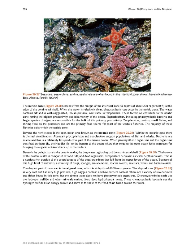 Concepts of Biology (non-majors) - Page 552