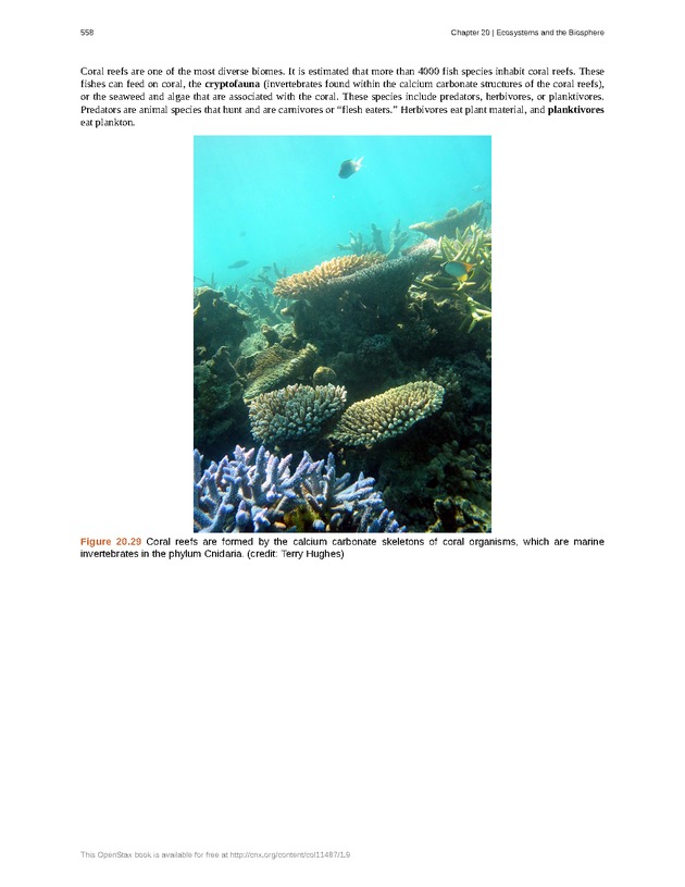 Concepts of Biology (non-majors) - Page 554