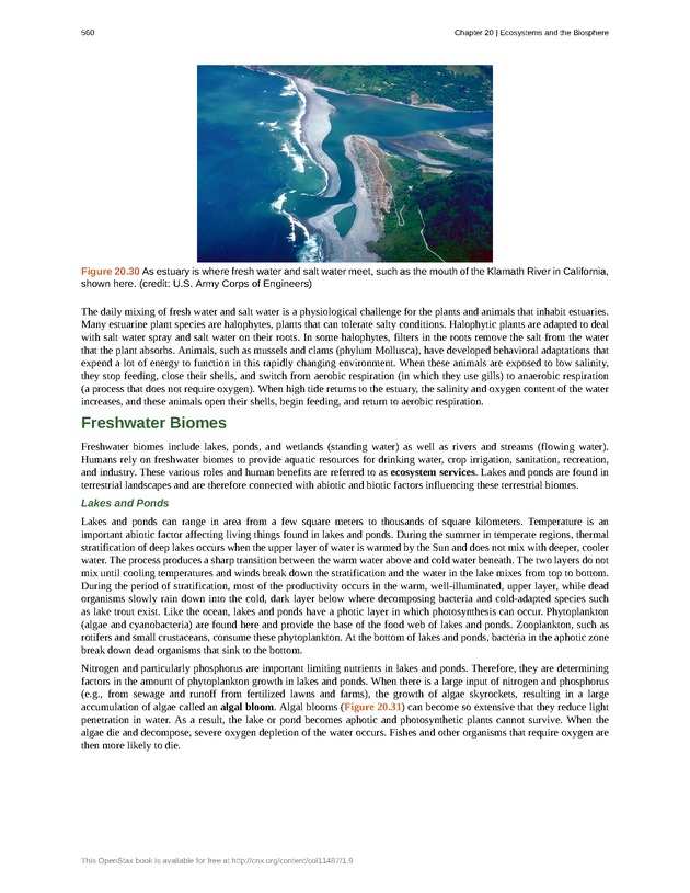 Concepts of Biology (non-majors) - Page 556