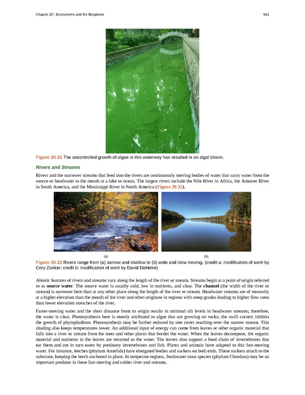 Concepts of Biology (non-majors) - Page 557