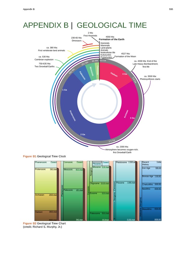 Concepts of Biology (non-majors) - Page 591