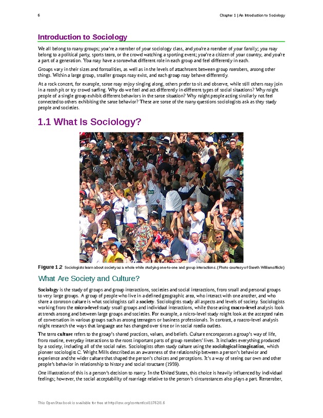 Introduction to Sociology - Page 2