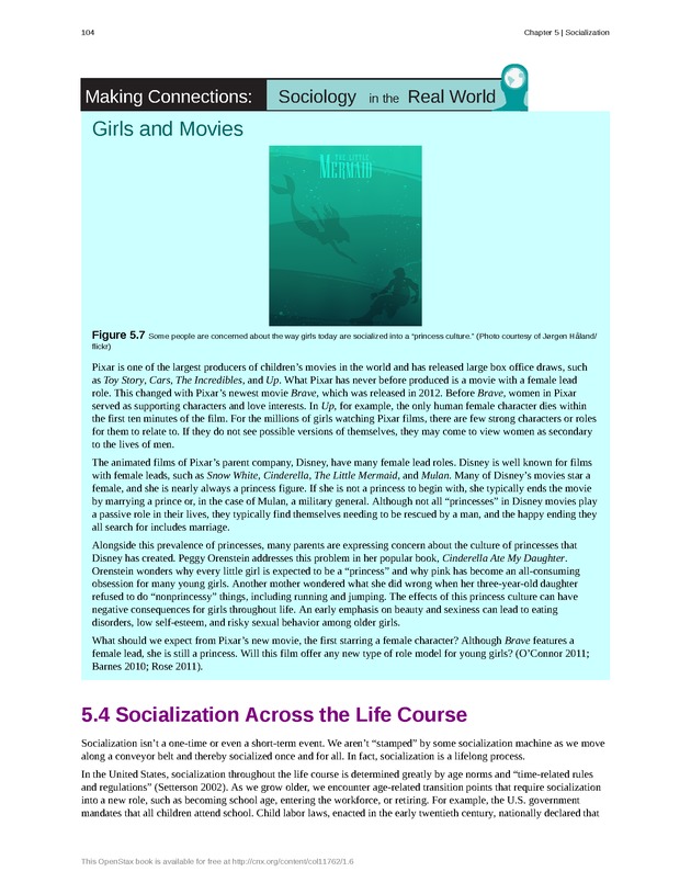 Introduction to Sociology - Page 100