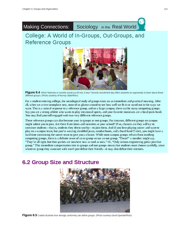 Introduction to Sociology - Page 117