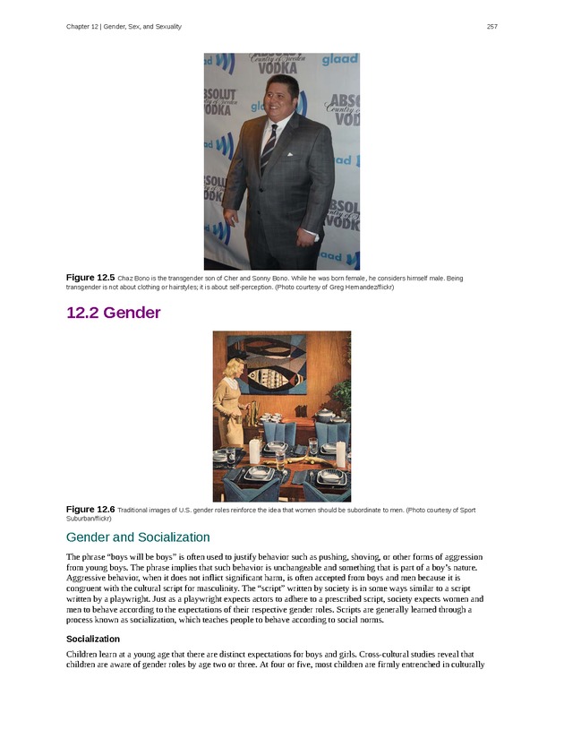 Introduction to Sociology - Page 253
