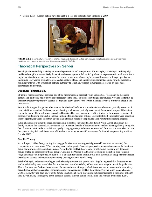 Introduction to Sociology - Page 256