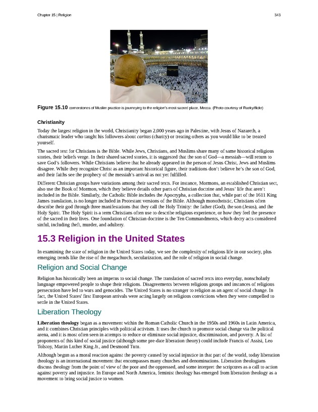 Introduction to Sociology - Page 339