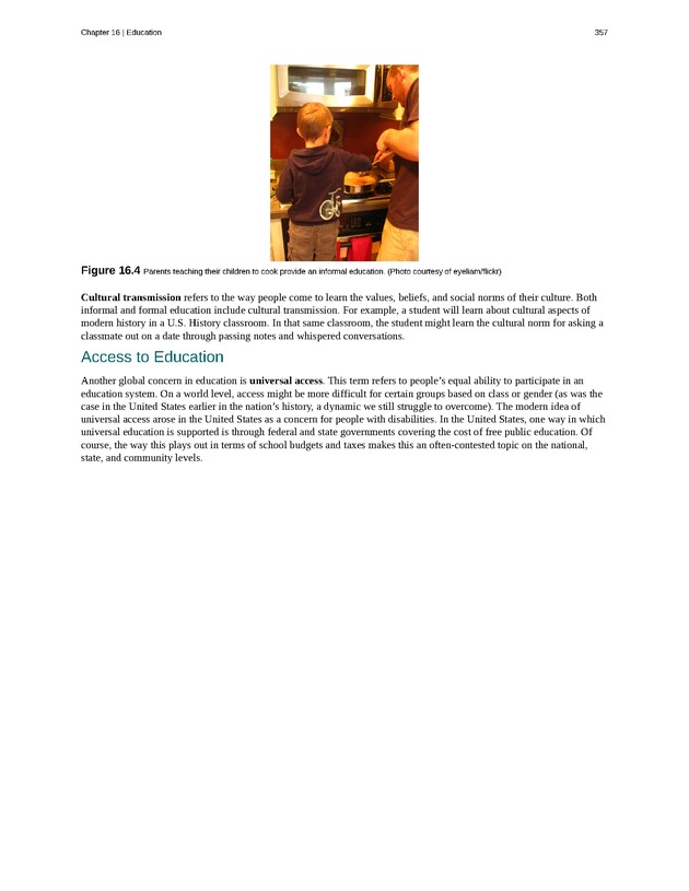 Introduction to Sociology - Page 353