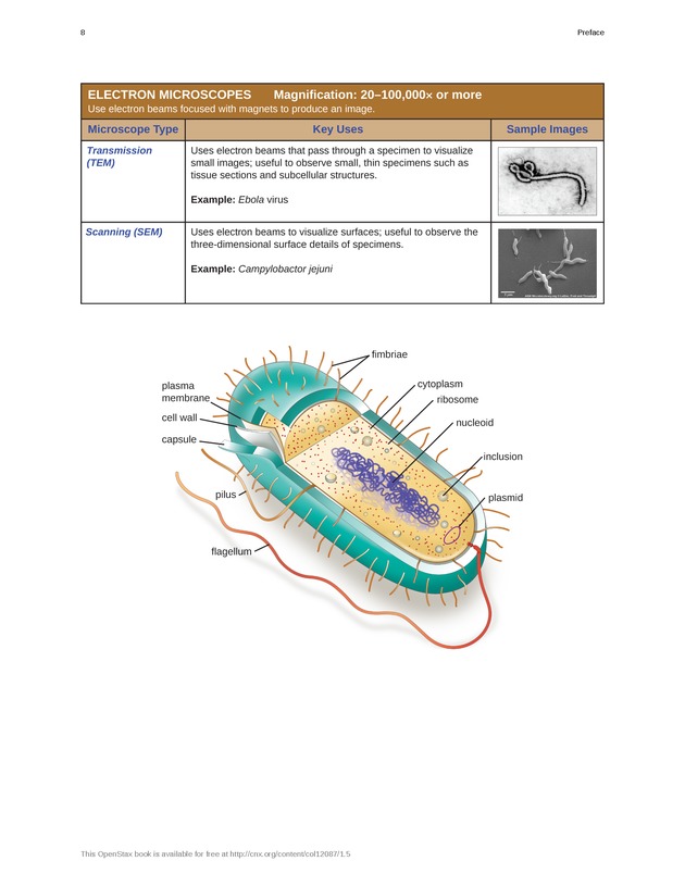 Microbiology - Front Matter 18