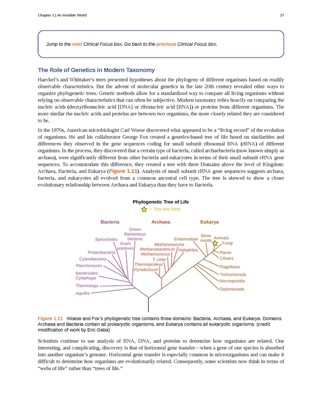 Microbiology - Front Matter 37