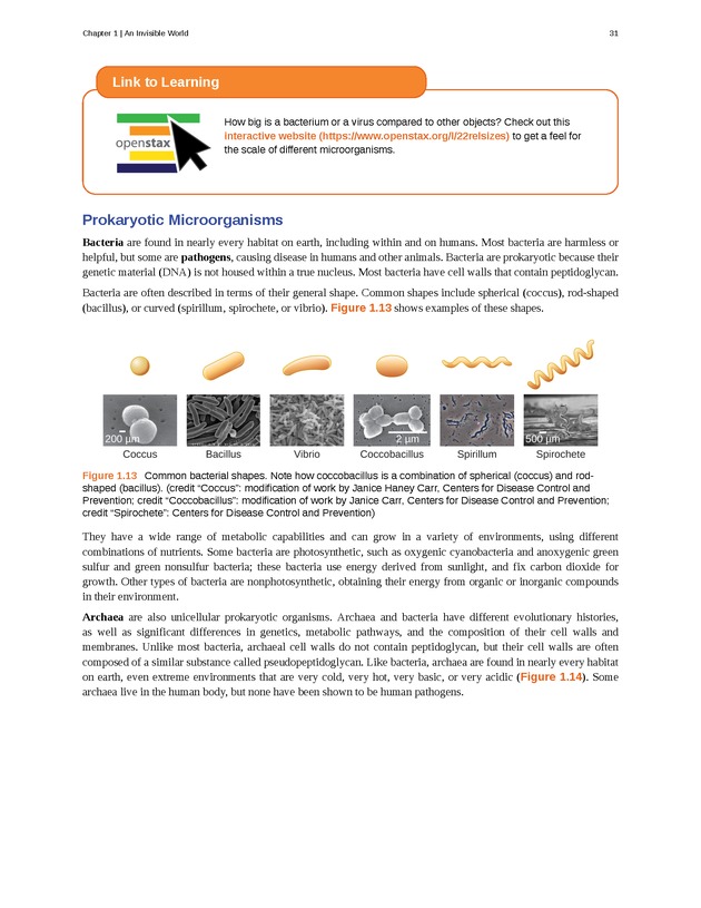 Microbiology - Front Matter 41