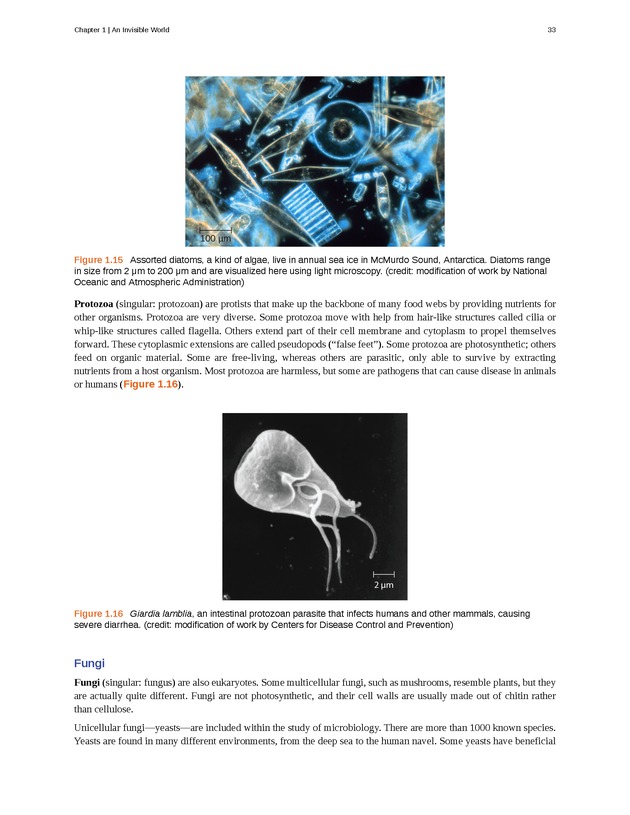 Microbiology - Front Matter 43