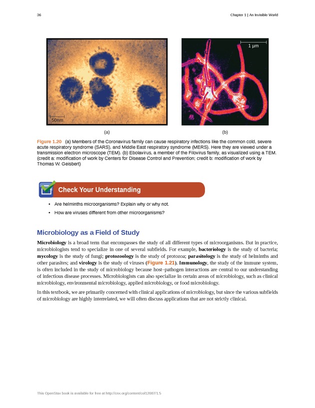 Microbiology - Front Matter 46