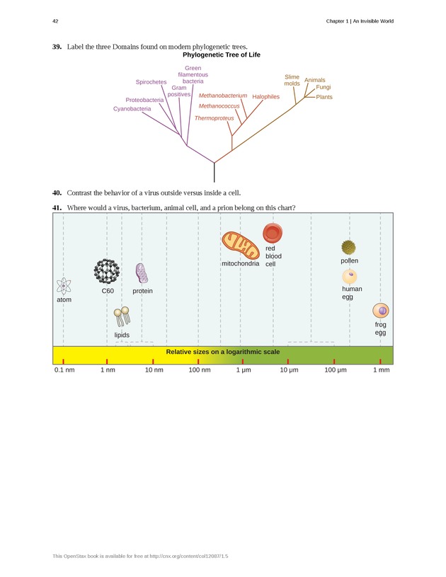 Microbiology - Front Matter 52