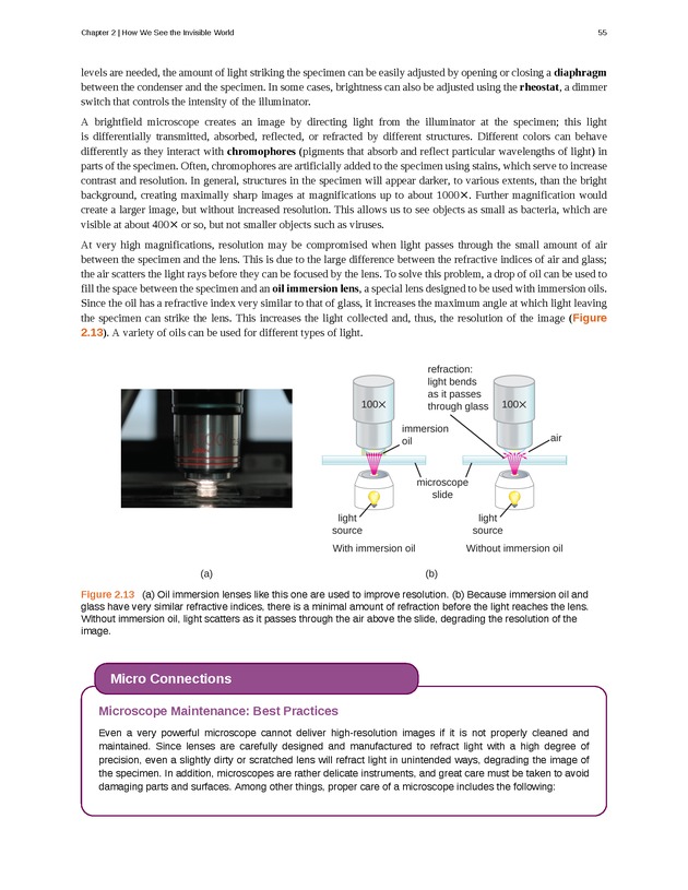 Microbiology - Front Matter 65
