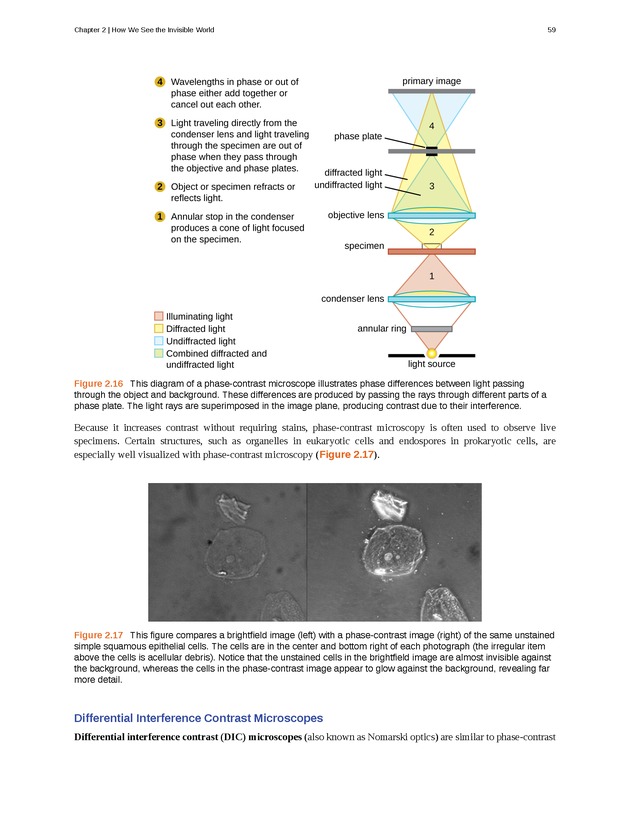 Microbiology - Front Matter 69