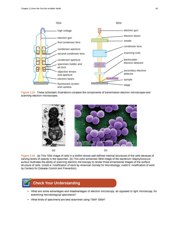 Microbiology - Front Matter 75