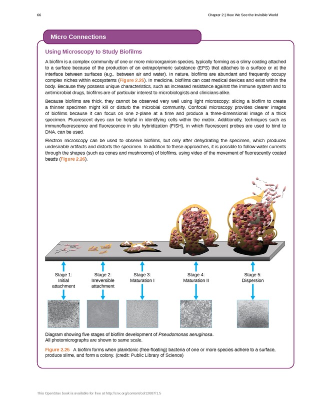 Microbiology - Front Matter 76
