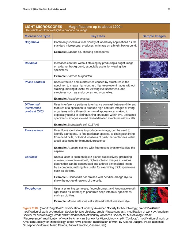 Microbiology - Front Matter 79