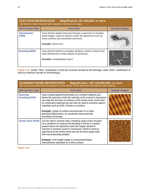 Microbiology - Front Matter 80