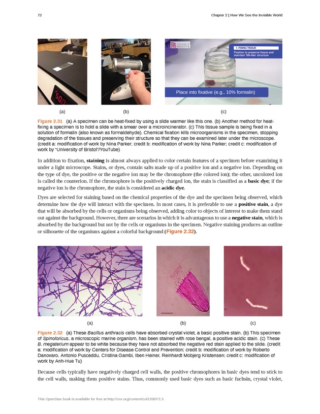 Microbiology - Front Matter 82