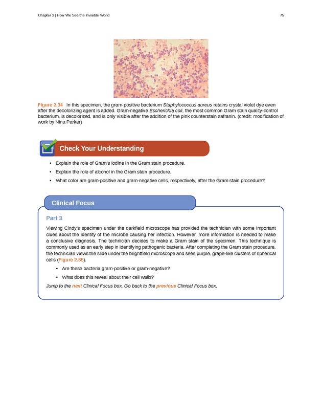 Microbiology - Front Matter 85