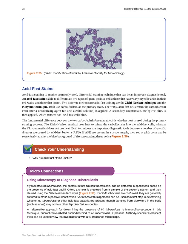 Microbiology - Front Matter 86