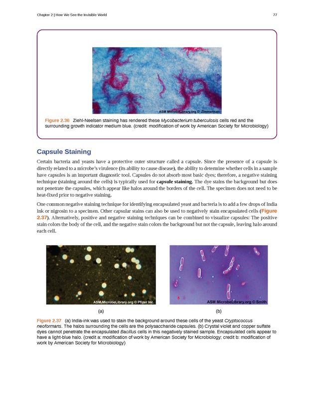 Microbiology - Front Matter 87