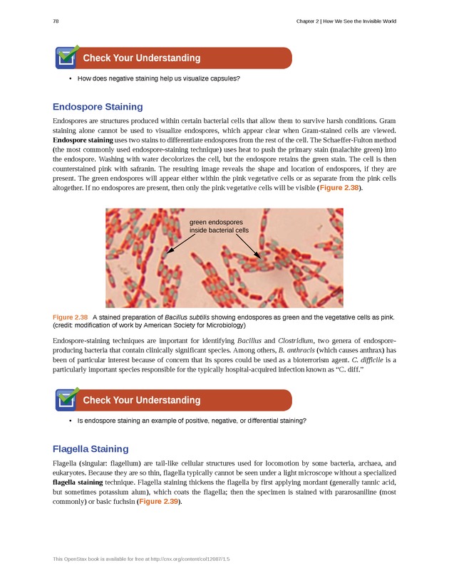 Microbiology - Front Matter 88