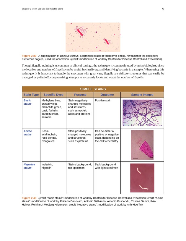 Microbiology - Front Matter 89