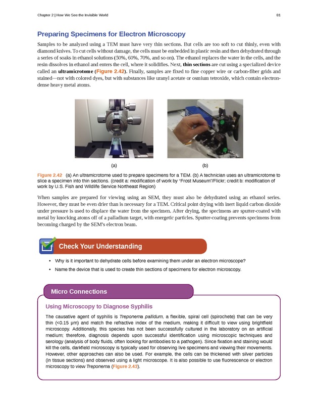 Microbiology - Front Matter 91