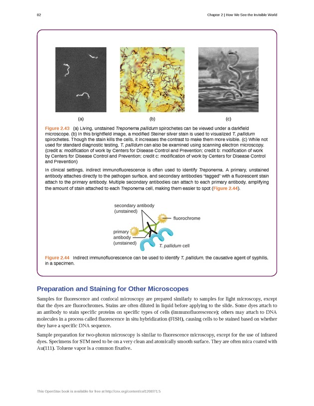 Microbiology - Front Matter 92