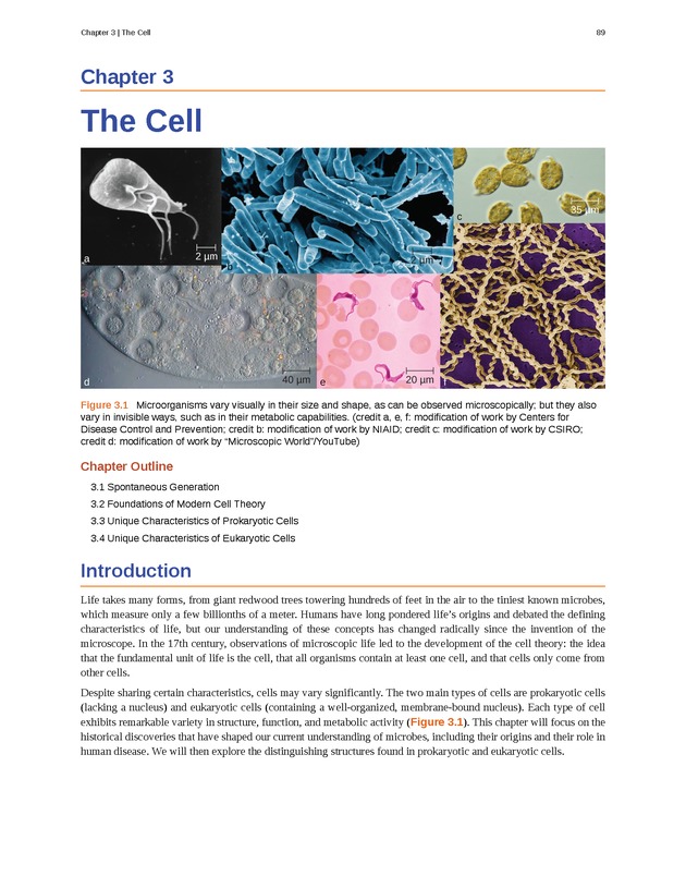 Microbiology - Front Matter 99