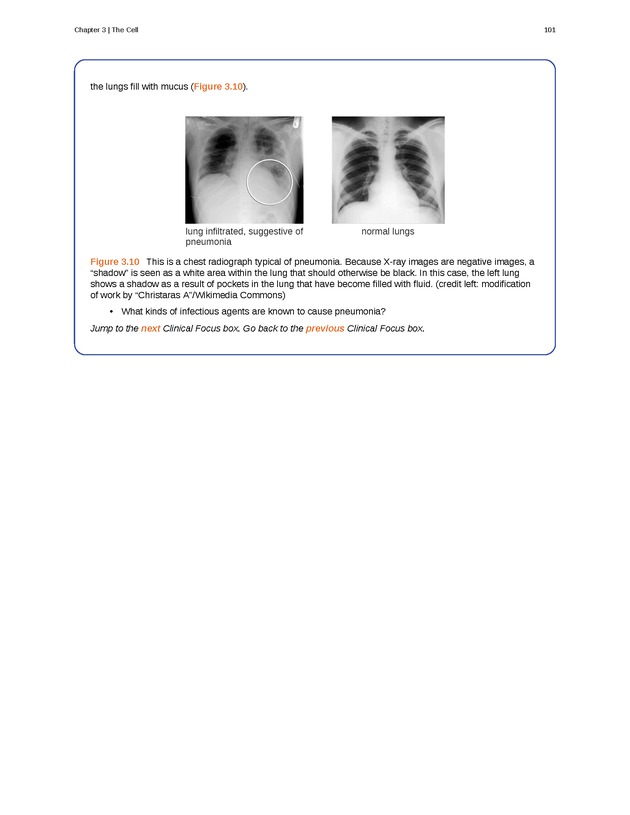 Microbiology - Front Matter 111