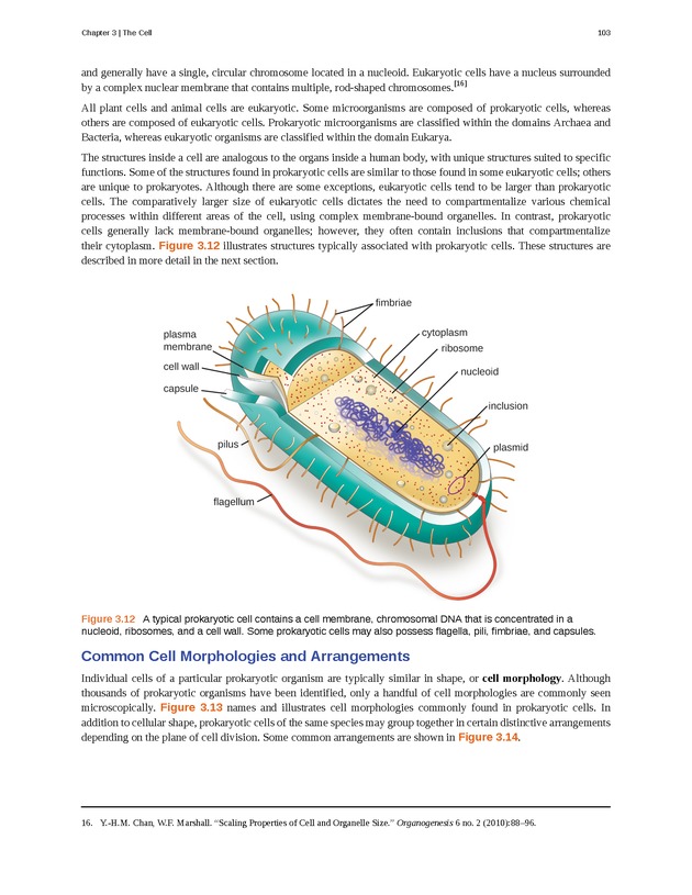 Microbiology - Front Matter 113