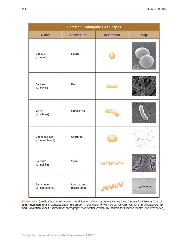 Microbiology - Front Matter 114