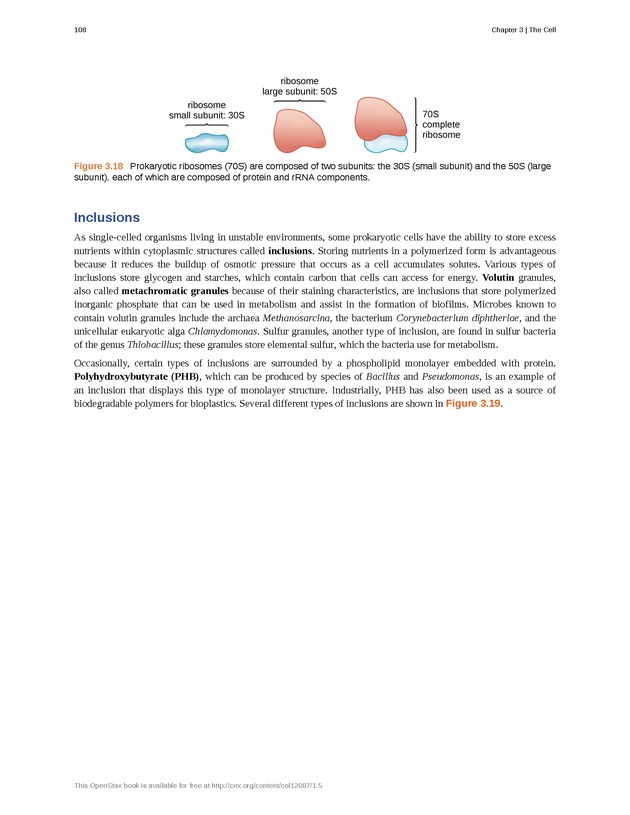 Microbiology - Front Matter 118