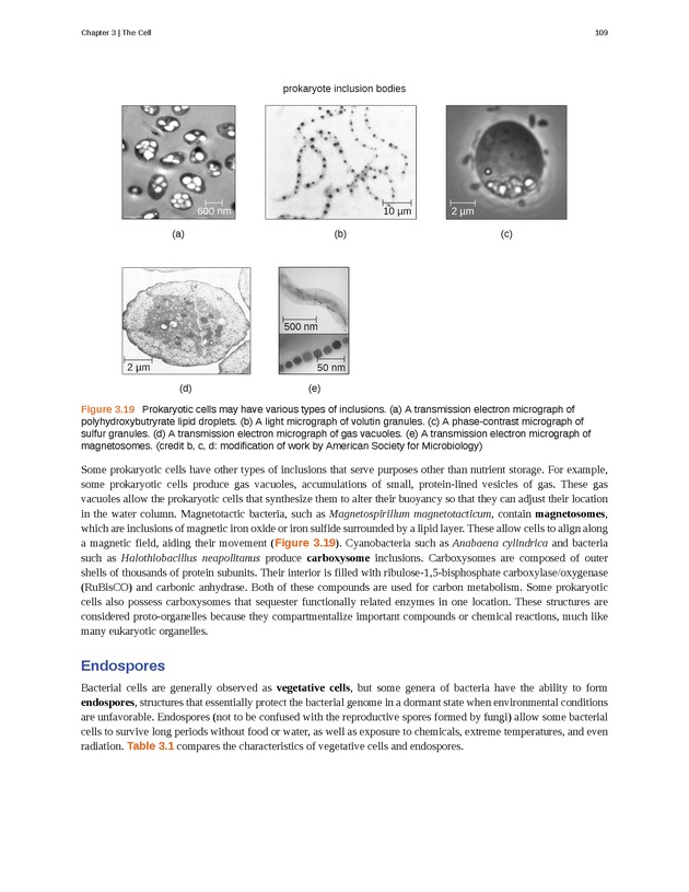 Microbiology - Front Matter 119
