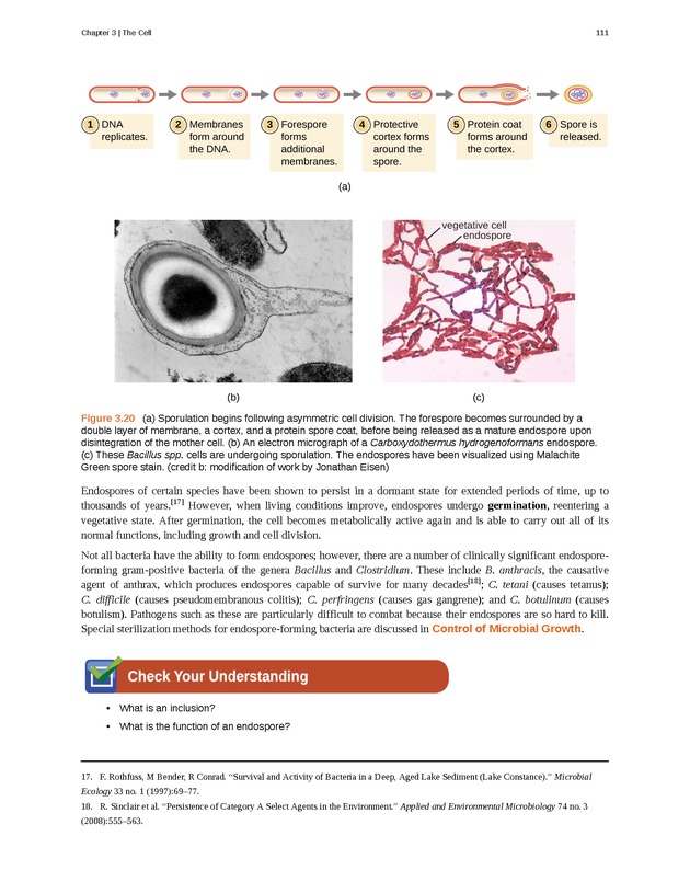 Microbiology - Front Matter 121