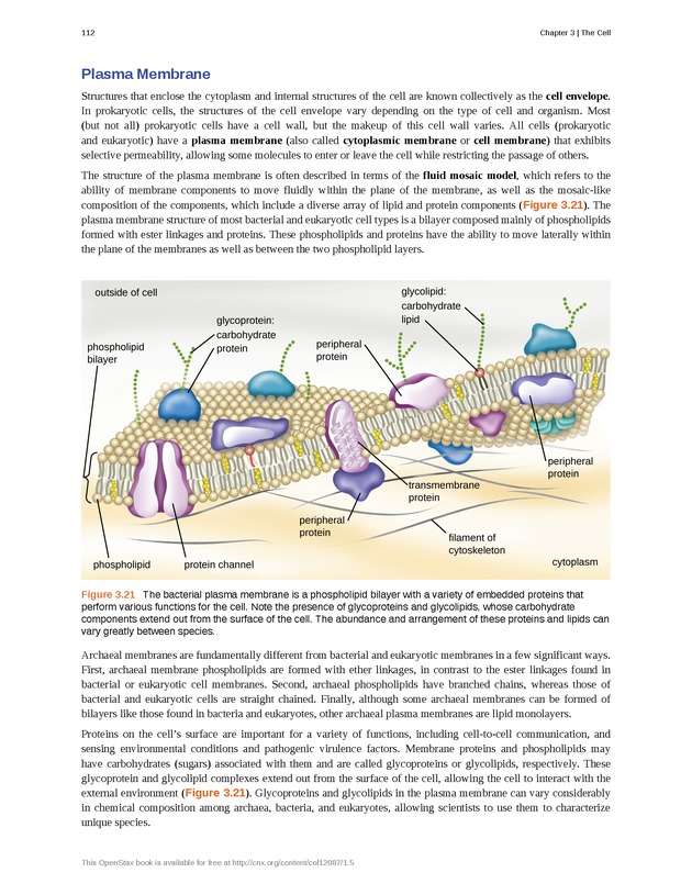 Microbiology - Front Matter 122