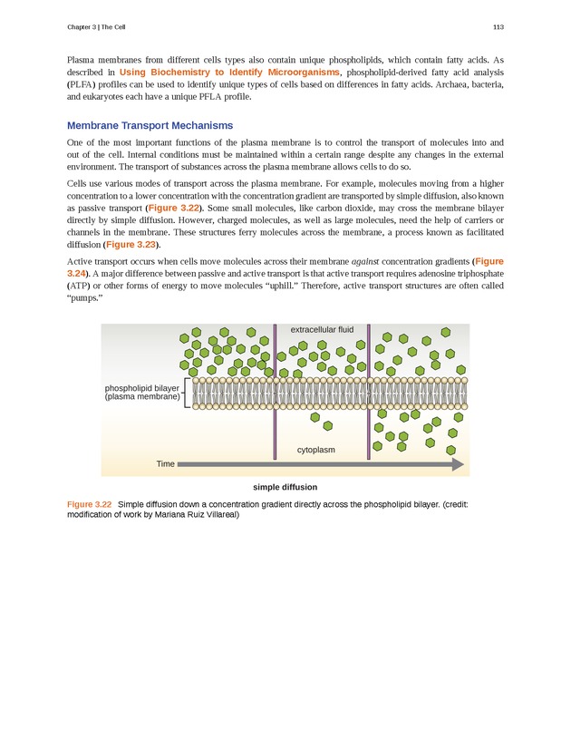 Microbiology - Front Matter 123